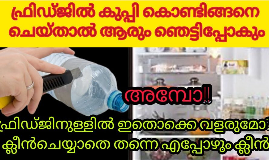 ഈ ഒരു കാര്യം ശ്രദ്ധിച്ചാൽ ഫ്രിഡ്ജിൽ സാധനങ്ങൾ മാസങ്ങളോളം സൂക്ഷിക്കാം….