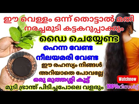 വെളുത്ത മുടി വേരോടെ കറുക്കാൻ കിടിലൻ വഴി…