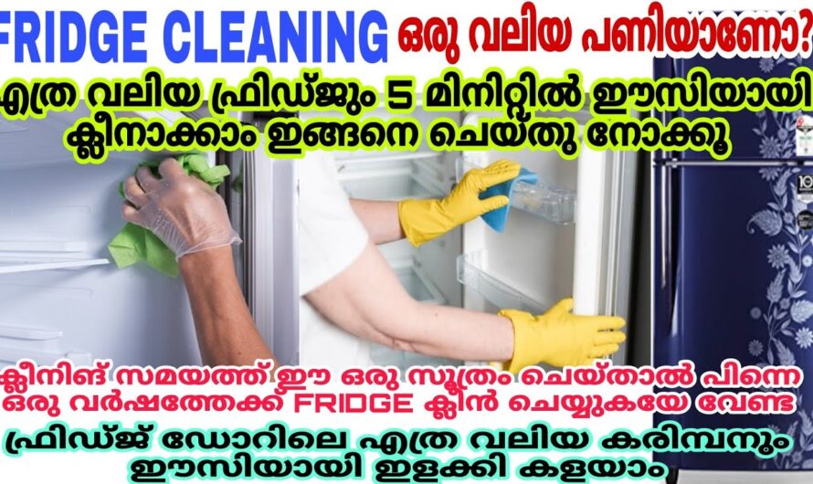 ഈയൊരു കാര്യം ഉപയോഗിച്ച് ഫ്രിഡ്ജ് ക്ലീൻ ചെയ്തു നോക്കൂ 100% നല്ല റിസൾട്ട്…