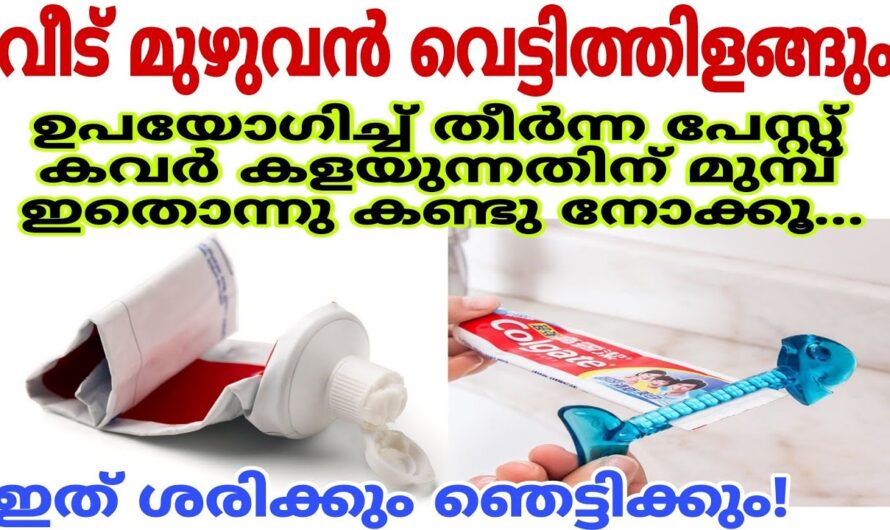 പഴയ ടൂത്ത് പേസ്റ്റ് കവർ കളയണ്ട ഞെട്ടിക്കും ഉപയോഗം…