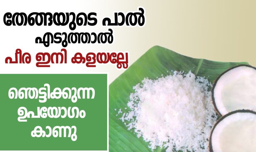 തേങ്ങാപ്പാൽ മാത്രമല്ല തേങ്ങാപ്പീരയും ഇത്തരത്തിൽ ഉപയോഗപ്പെടുത്താം…