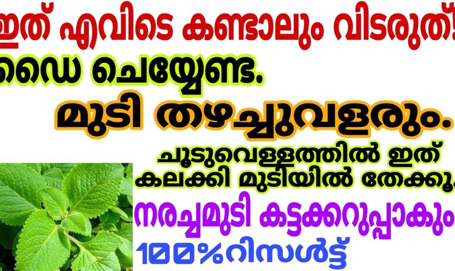 പ്രകൃതിദത്തമായ കിടിലൻ ഹെയർ ഡൈ പാർശ്വഫലങ്ങൾ ഇല്ലാതെ ഫലങ്ങൾ ഇല്ലാതെ 100% നല്ല റിസൾട്ട്..