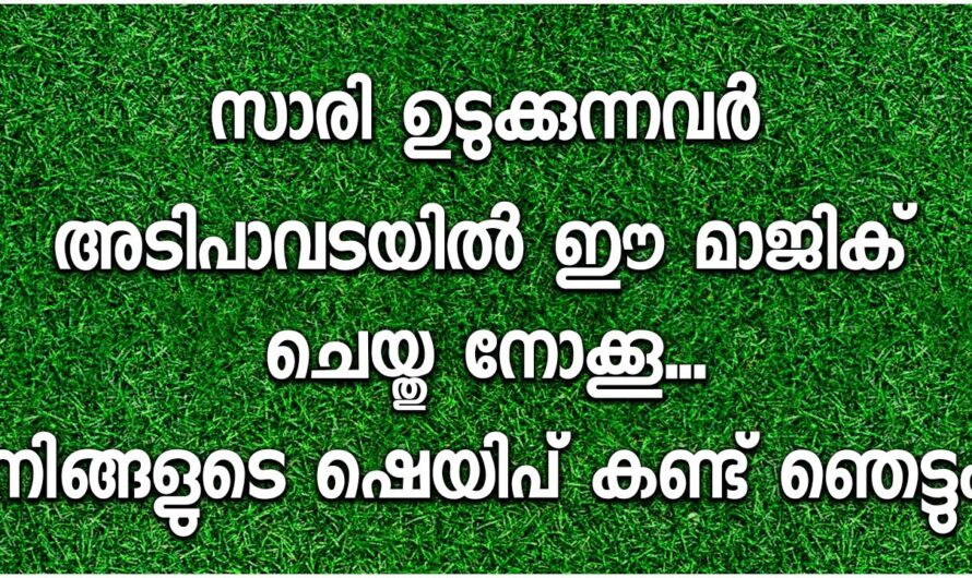 സാരി ധരിക്കുമ്പോൾ നല്ല ഷേപ്പിൽ ലഭിക്കാൻ കിടിലൻ വഴി..