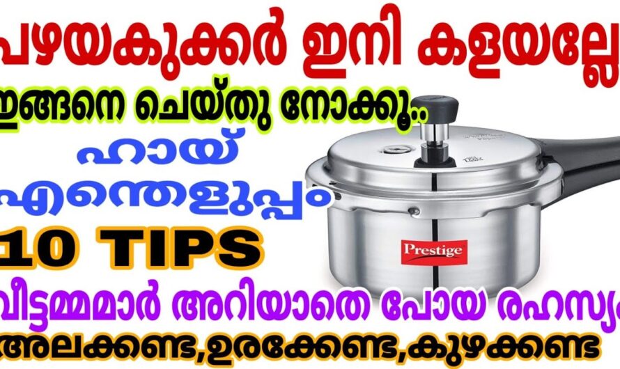 വീട്ടിലെ പഴയ കുക്കർ ഇനി കളയേണ്ട ഇതാ ഞെട്ടിക്കും ഉപയോഗങ്ങൾ.