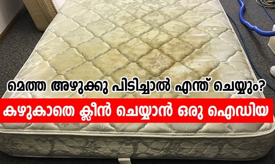 വളരെ എളുപ്പത്തിൽ എത്ര പഴയ കിടക്കാ ക്ലീൻ ചെയ്ത പുത്തൻ പുതിയത് പോലെ ആക്കാം.