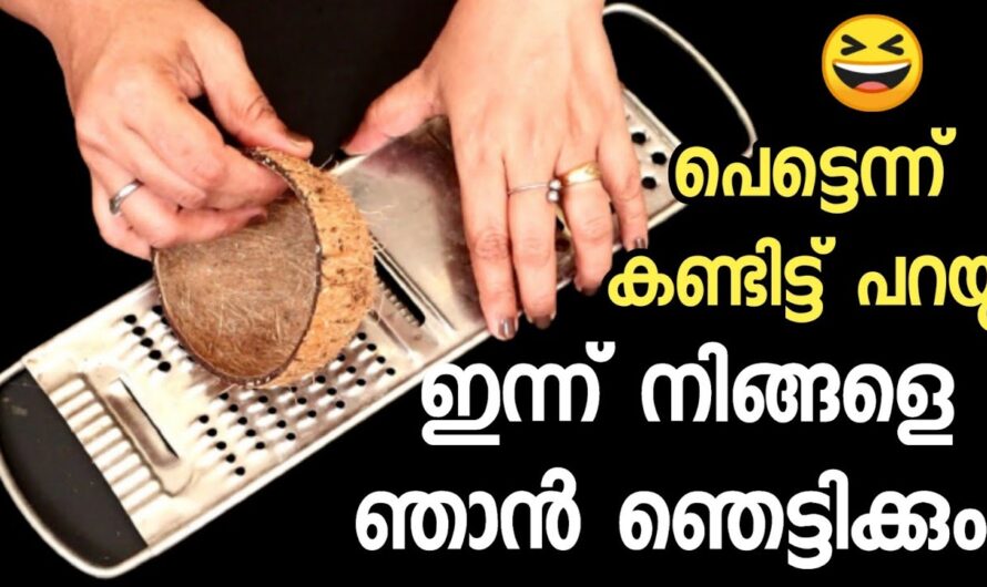 വീട്ടിലെ ചിരട്ട ഇങ്ങനെ ചെയ്തു നോക്കൂ..