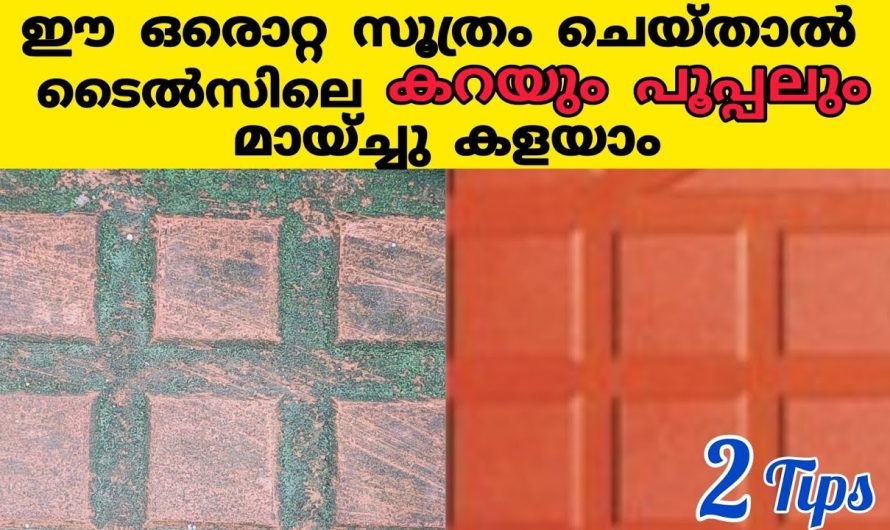 ടൈലിലെ എത്ര പഴകിയ  കറയും പൂപ്പലും എളുപ്പത്തിൽ പരിഹരിക്കാം..