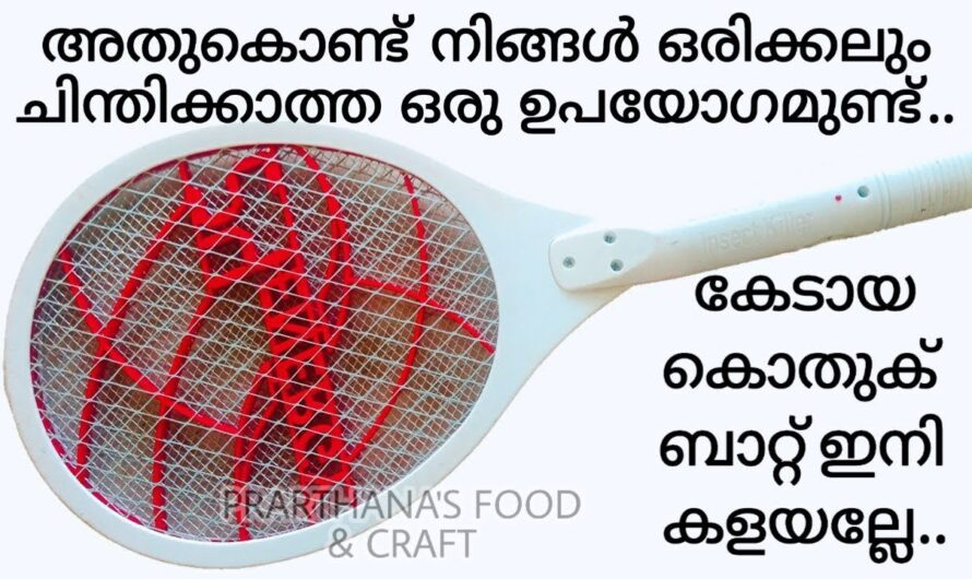 കേടായ കൊതുക് ബാറ്റ്  ഉണ്ടോ എങ്കിൽ കിടിലൻ ഐഡിയ..