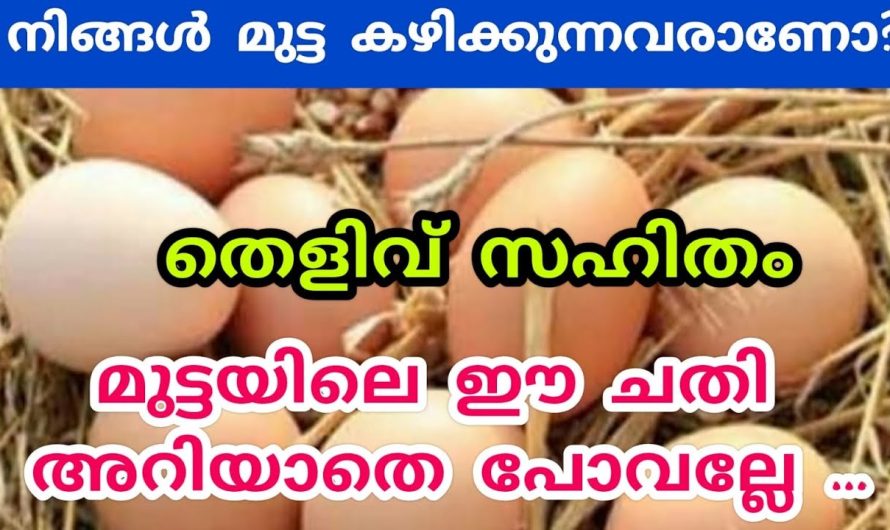 കടകളിൽനിന്ന് വാങ്ങുന്ന മുട്ട നല്ലതാണ് എന്നറിയാൻ കിടിലൻ വഴി…