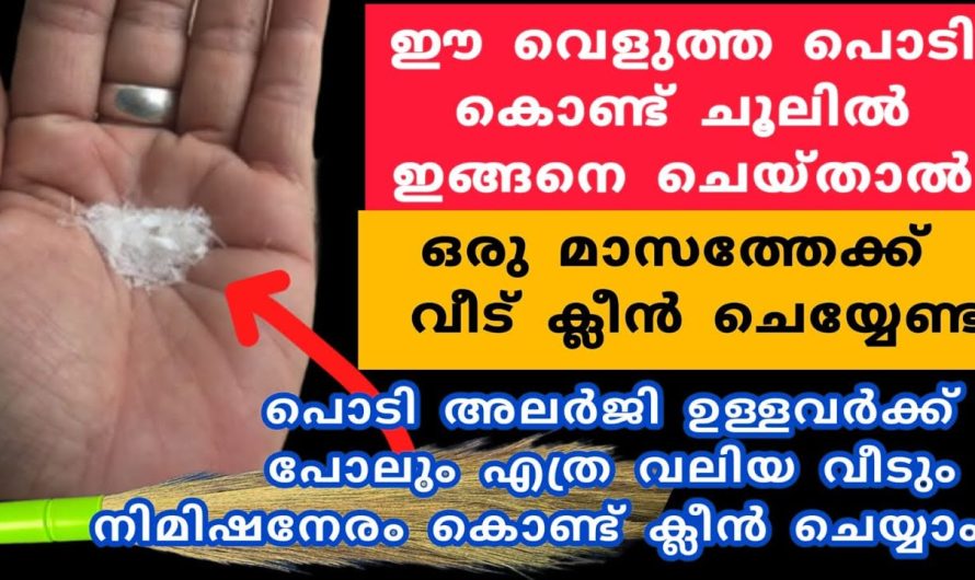 വീട് മുഴുവൻ മൊത്തവും ക്ലീൻ ആകാനും സുഗന്ധം പരത്താനും  ഈ ഒരു കാര്യം ചെയ്താൽ മതി..