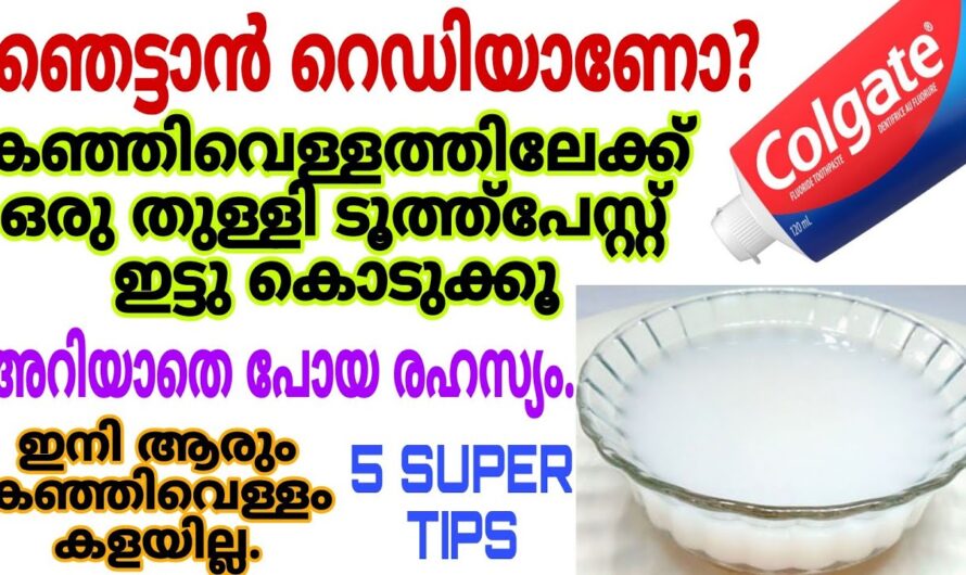 ഇനി വീട്ടിലേക്ക് കഞ്ഞിവെള്ളം കളയേണ്ട ഞെട്ടിക്കും ഗുണങ്ങളും…