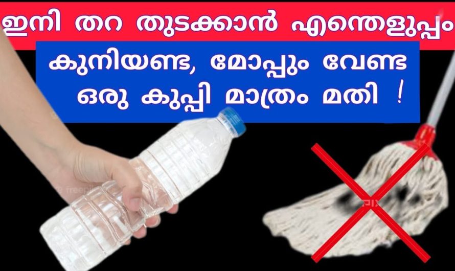 വീട്ടിലെ പ്ലാസ്റ്റിക് കുപ്പികൾ ഇനിവലിച്ചെറിഞ്ഞു കളയണ്ട ഇത് കിടിലൻ വഴി..