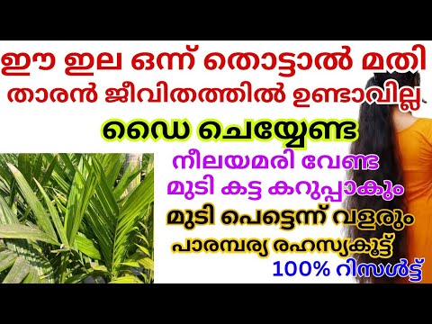 തലമുടിയുടെ താരനും പാർശ്വഫലങ്ങളും പരിഹരിക്കാൻ കിടിലൻ വഴി..