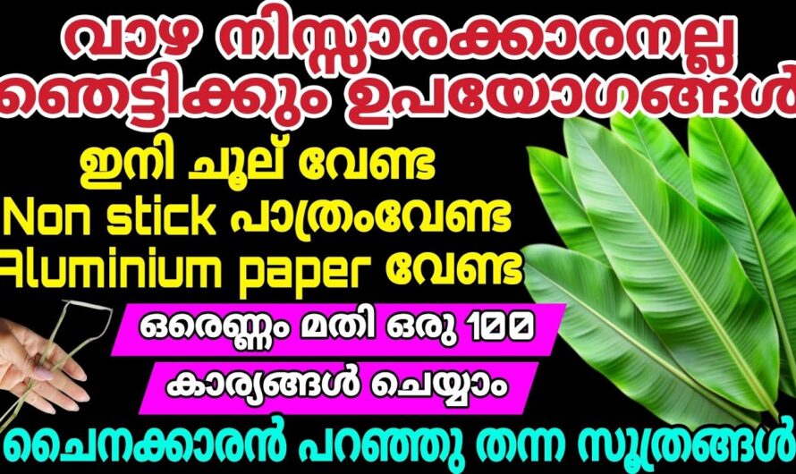 നമ്മുടെ വീട്ടിലെ വാഴ ഈ രീതിയിൽ എല്ലാം പ്രയോജനകരമാണ് നിങ്ങൾക്കറിയാമോ…