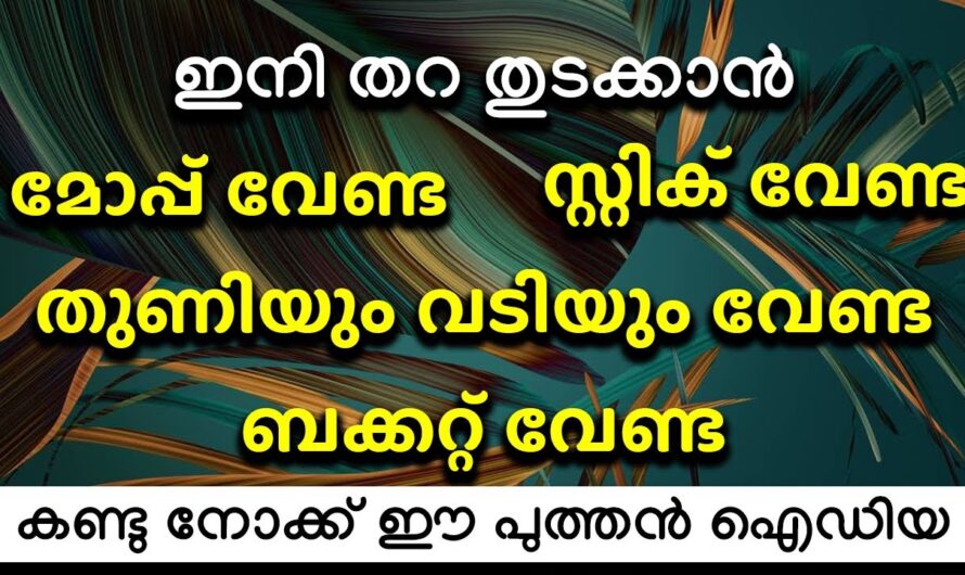 തറയിൽ ക്ലീൻ ചെയ്യാൻ ഇനിയും തുനിയും വേണ്ട പടിയും വേണ്ട കുമ്പിടും വേണ്ട ഇതാ കിടിലൻ വഴി..