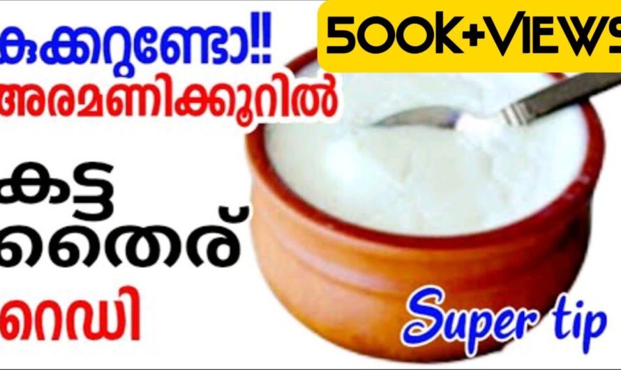 ആരോഗ്യത്തിന് ഗുണം ചെയ്യുന്ന തൈര് വീട്ടിൽ തന്നെ തയ്യാറാക്കാം