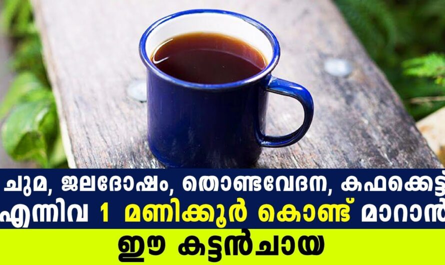 ചുമ്മ, കഫം കെട്ട്, ജലദോഷം  എളുപ്പത്തിൽ പരിഹരിക്കും…