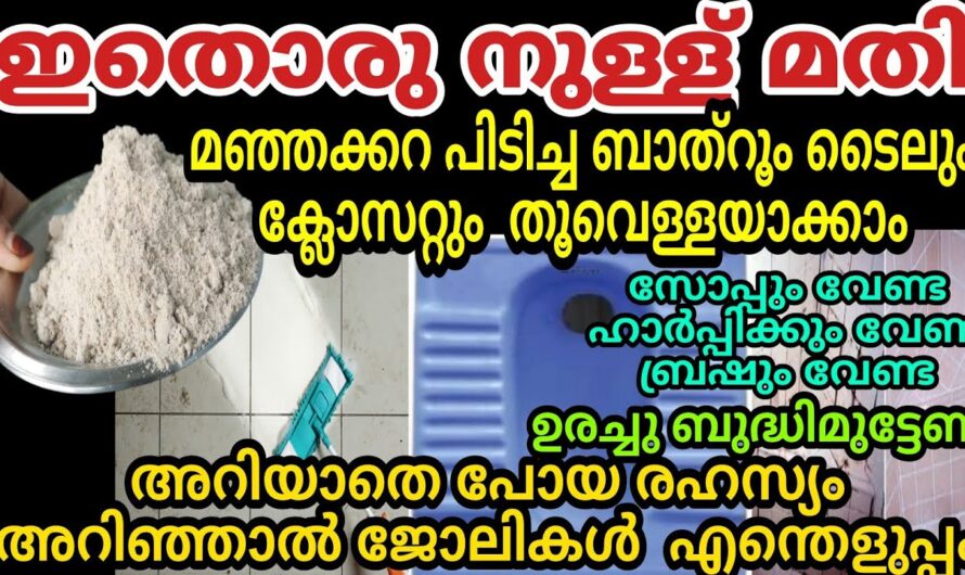 ബാത്റൂം പുത്തൻ പുതിയത് പോലെ തിളങ്ങാൻ കിടിലൻ വഴി..