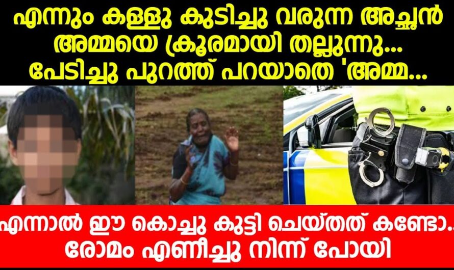 അച്ഛൻ അമ്മയെ   ഉപദ്രവിക്കുന്നതു കണ്ട മകൻ ചെയ്തത് കണ്ടോ…