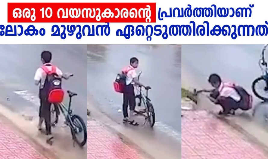 ഇവനെ എത്ര അഭിനന്ദിച്ചാലും മതിയാകില്ല…