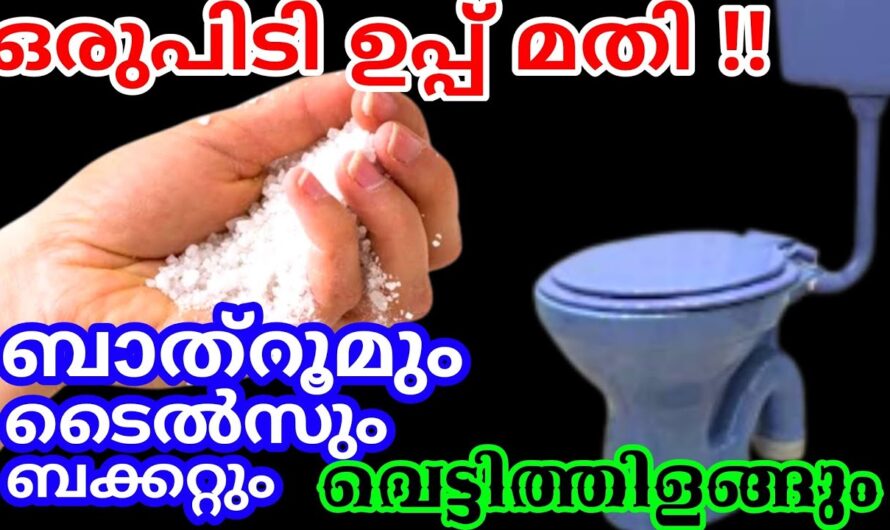 എത്ര അഴുക്കുപിടിച്ച ബാത്റൂം നിമിഷനേരങ്ങൾക്കുള്ളിൽ ക്ലീൻ ചെയ്യാൻ…