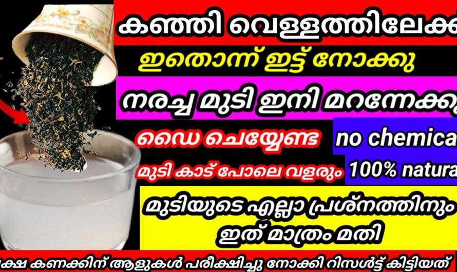 മുടിയിലെ നര പരിഹരിക്കാൻ ഇത് കിടിലൻ വഴി..