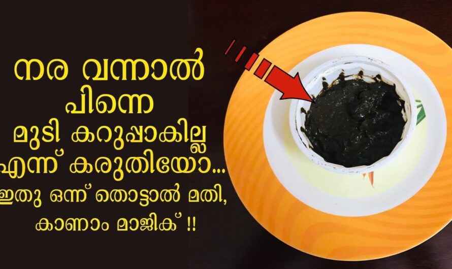 മുടിയിലെ നര  കണ്ട്  ഇനി മനപ്രയാസം വേണ്ട ഇതാ കിടിലൻ പരിഹാരം..