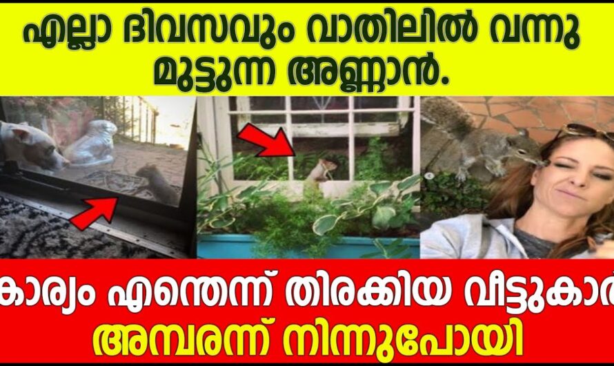 ജീവൻ രക്ഷിച്ച വീട്ടുകാരെ കാണാൻ അണ്ണൻ കുഞ്ഞ് ചെയ്തതു കണ്ടോ .