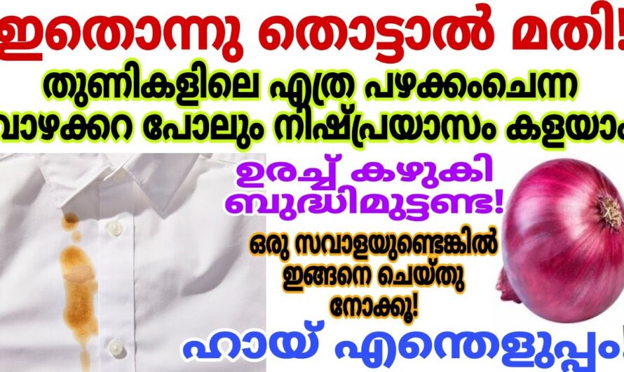 എത്ര പഴകിയ കറയും ചളിയും എളുപ്പത്തിൽ നീക്കം ചെയ്യാം..