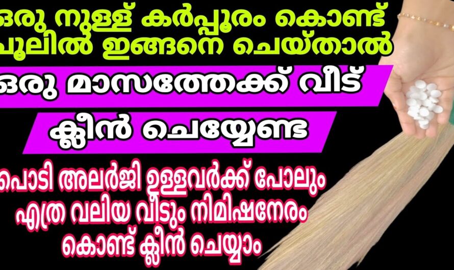 ഇക്കാര്യം ചെയ്താൽ വീട്ടിൽ പൊടിയും മാറാലയും ഉണ്ടാവില്ല നല്ലൊരു പോസിറ്റീവ് എനർജി  ലഭിക്കും..