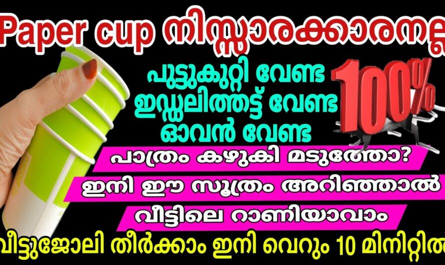 വീട്ടിൽ പ്ലാസ്റ്റിക് കപ്പുകൾ ഉണ്ടെങ്കിൽ ഇതൊന്നു ചെയ്തു നോക്കൂ..