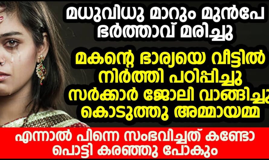 ഭർത്താവിന്റെ വീട്ടിലെ വിധവയായി കഴിയുന്ന പെൺകുട്ടിക്ക് സംഭവിച്ചത് കണ്ടോ…